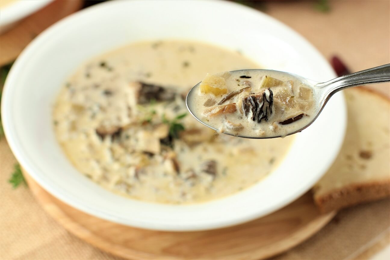 The Essential Guide To Morel Mushrooms – Foraged