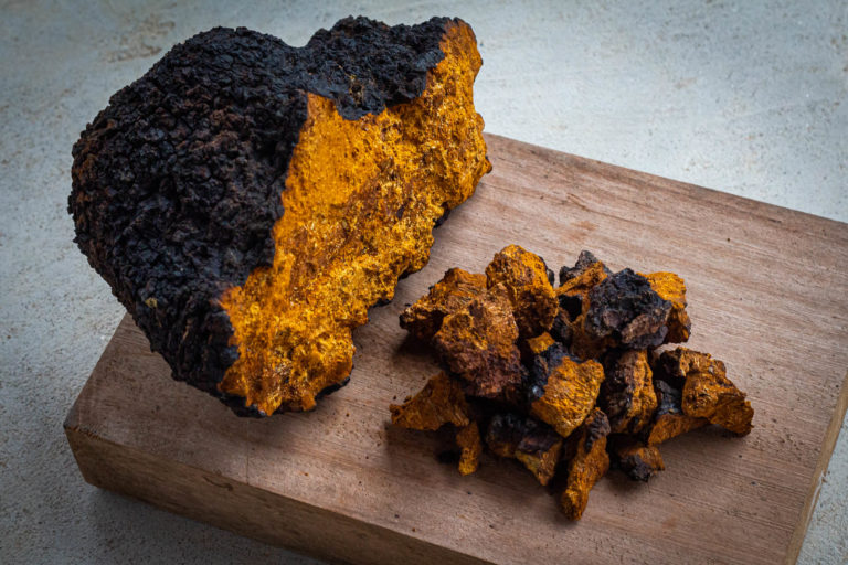 chaga benefits