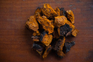 Chaga Mushrooms for Tea