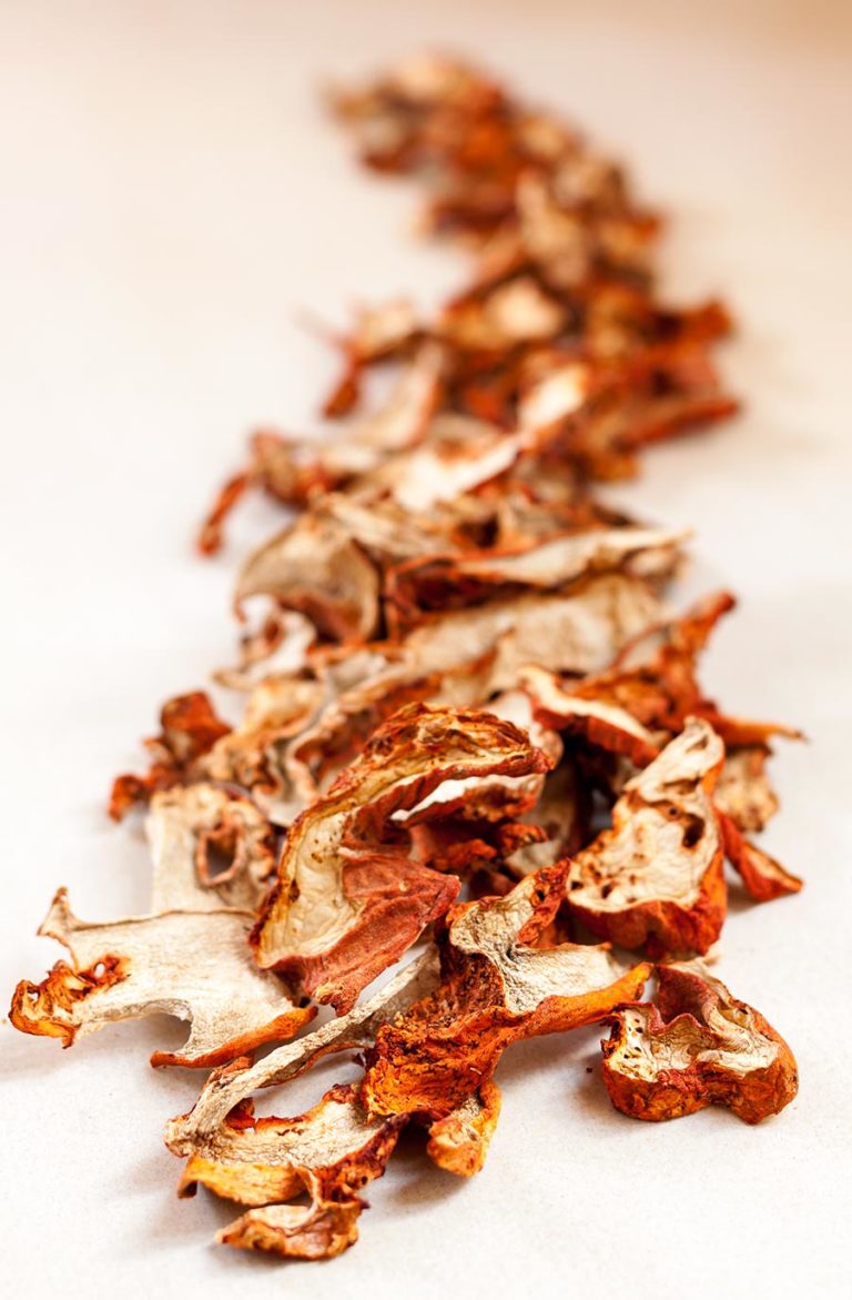 Dried Gourmet Medicinal Mushrooms 101 Foraged