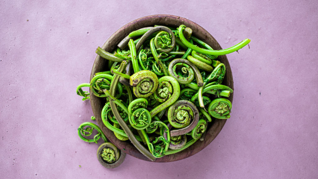 Bowl of Fiddleheads