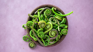 Bowl of Fiddleheads