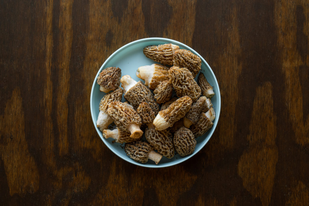 Plate of Morel Mushrooms