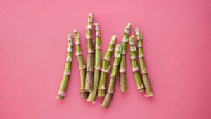 Japanese Knotweed