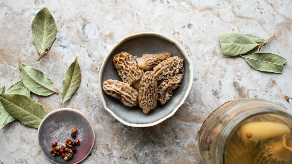 Pickled Morels