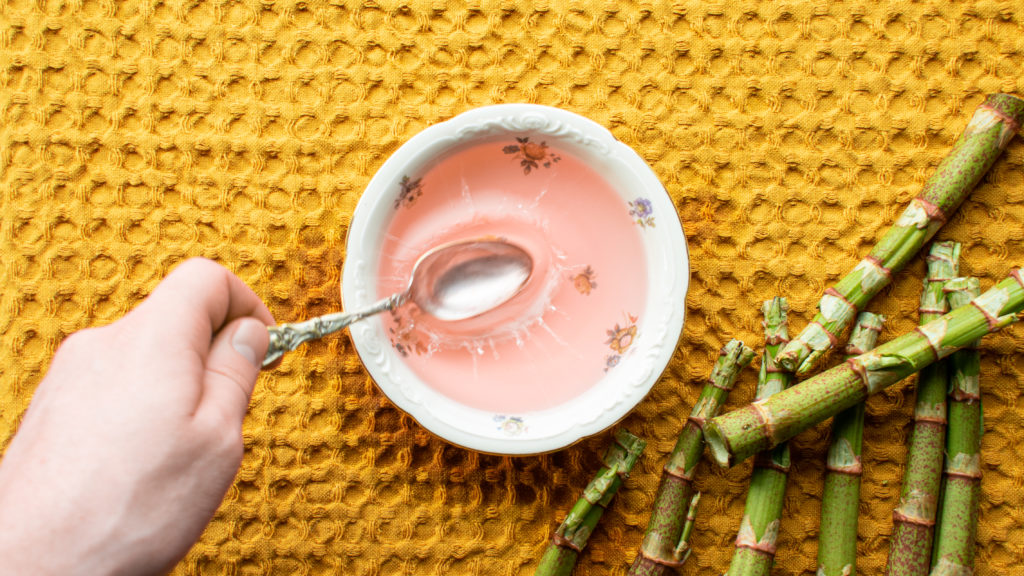 Japanese Knotweed Vinegar
