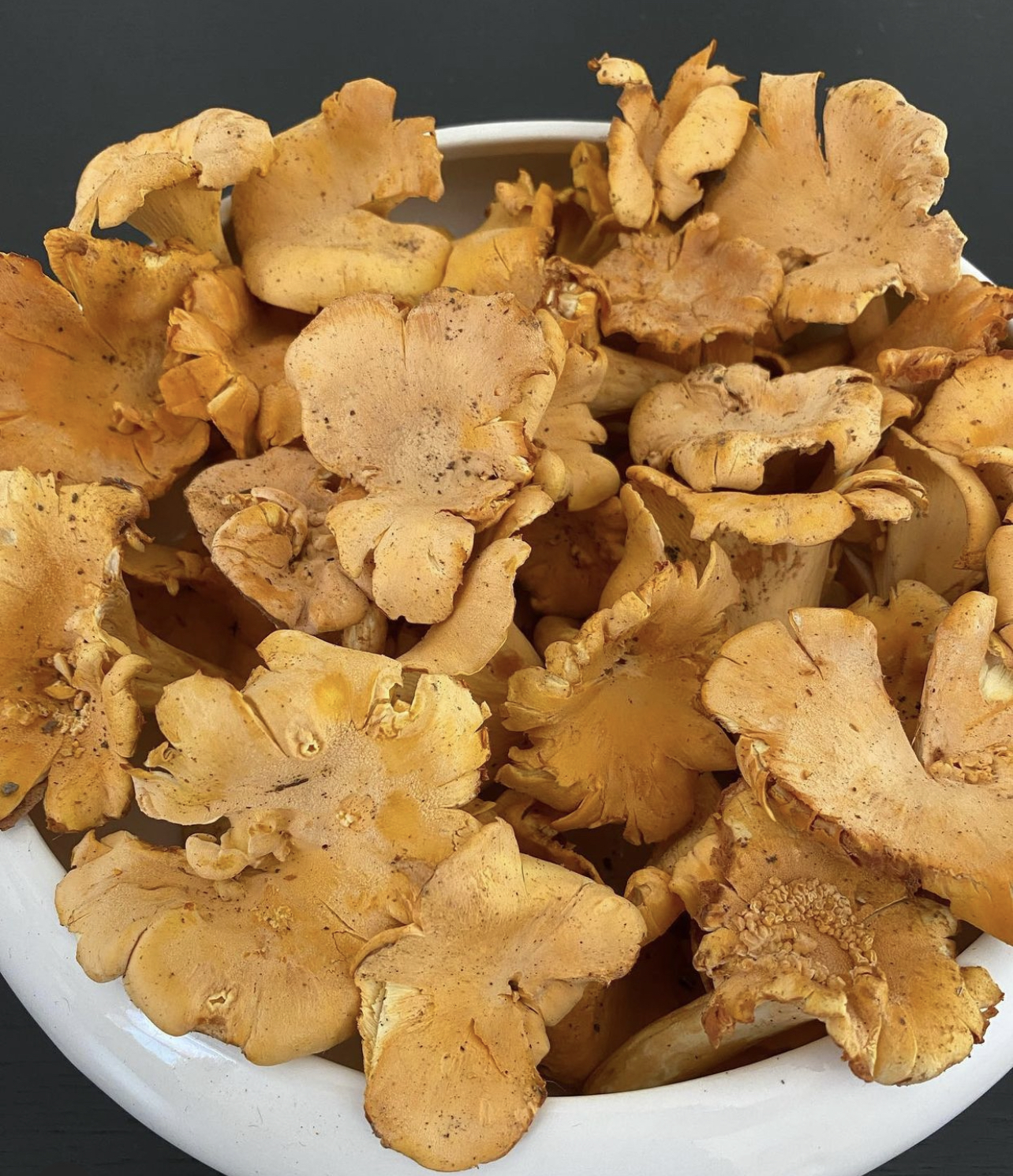 Mixed Smooth Chanterelles (price per 14oz) Foraged