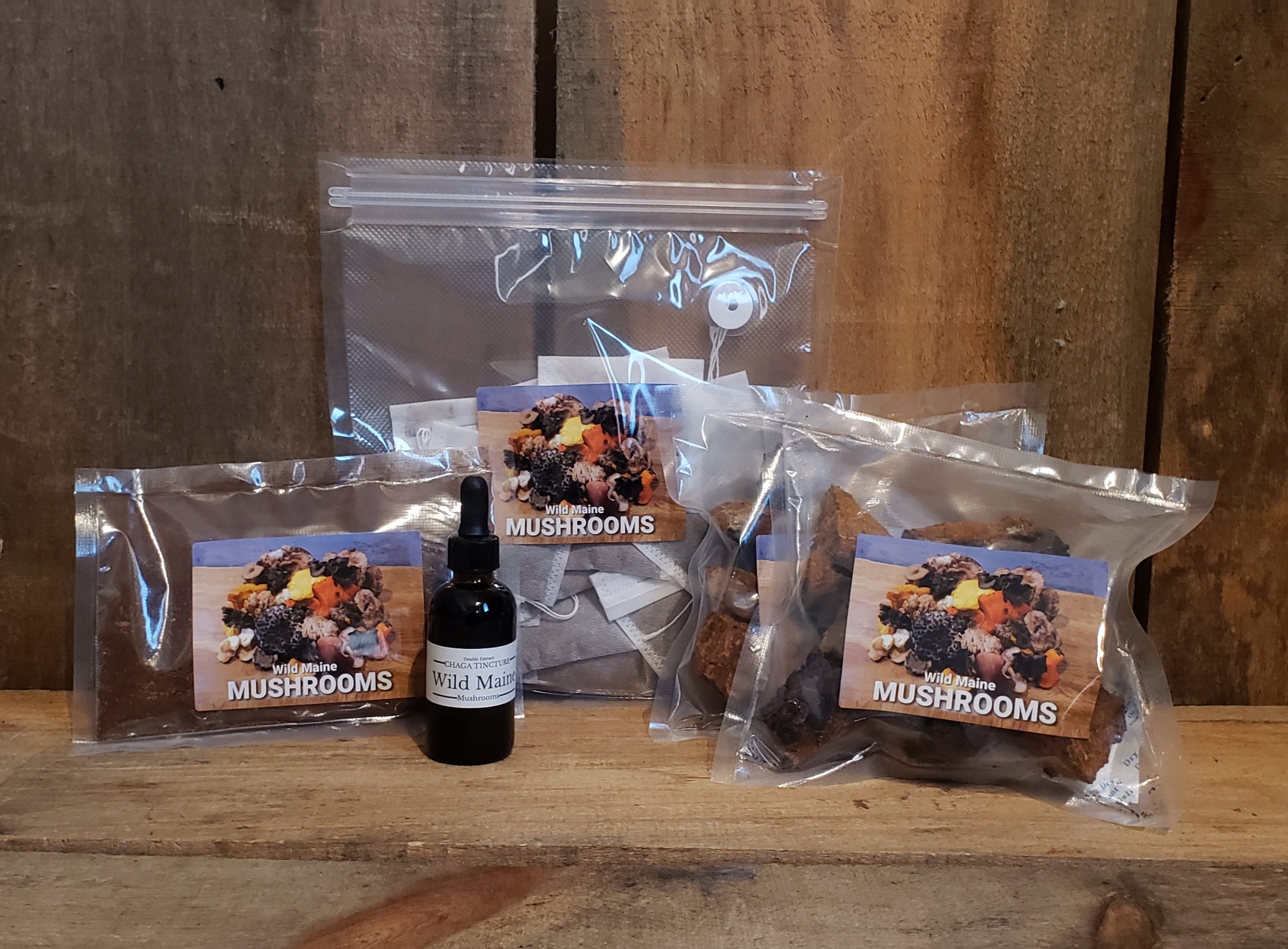 Chaga Starter Kit - FREE SHIPPING INCLUDED! - Buy Online | Foraged