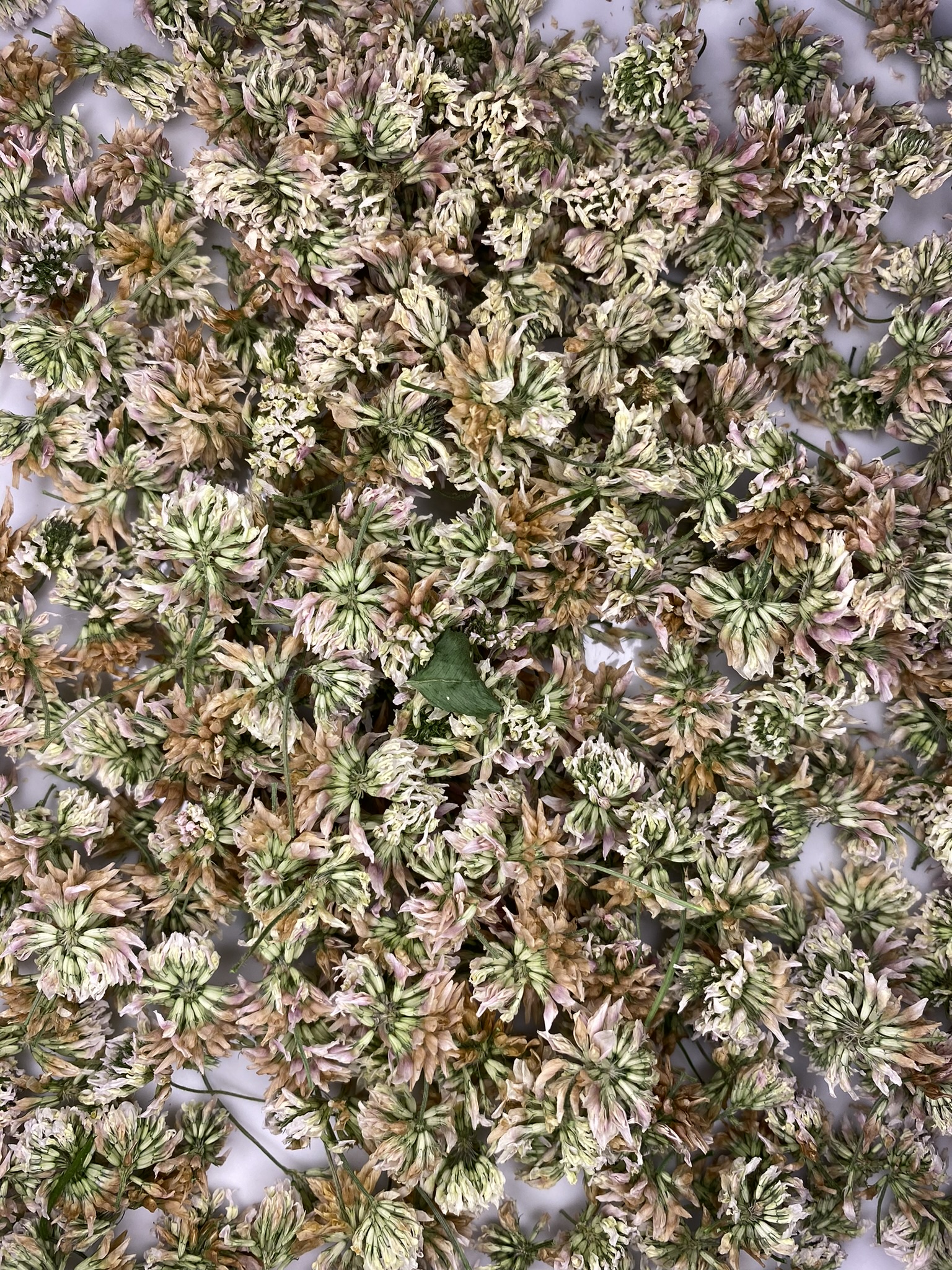 a62577ba-2115-4920-91b7-