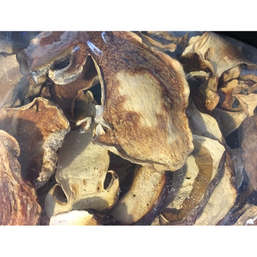 Dried USA Wild Porcini Mushrooms Foraged